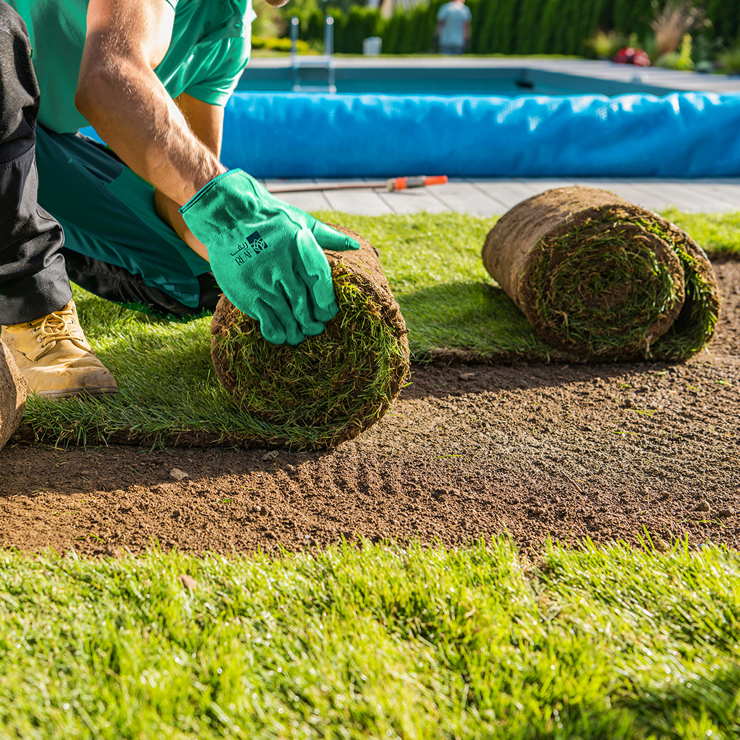 ARTIFICAL LAWN