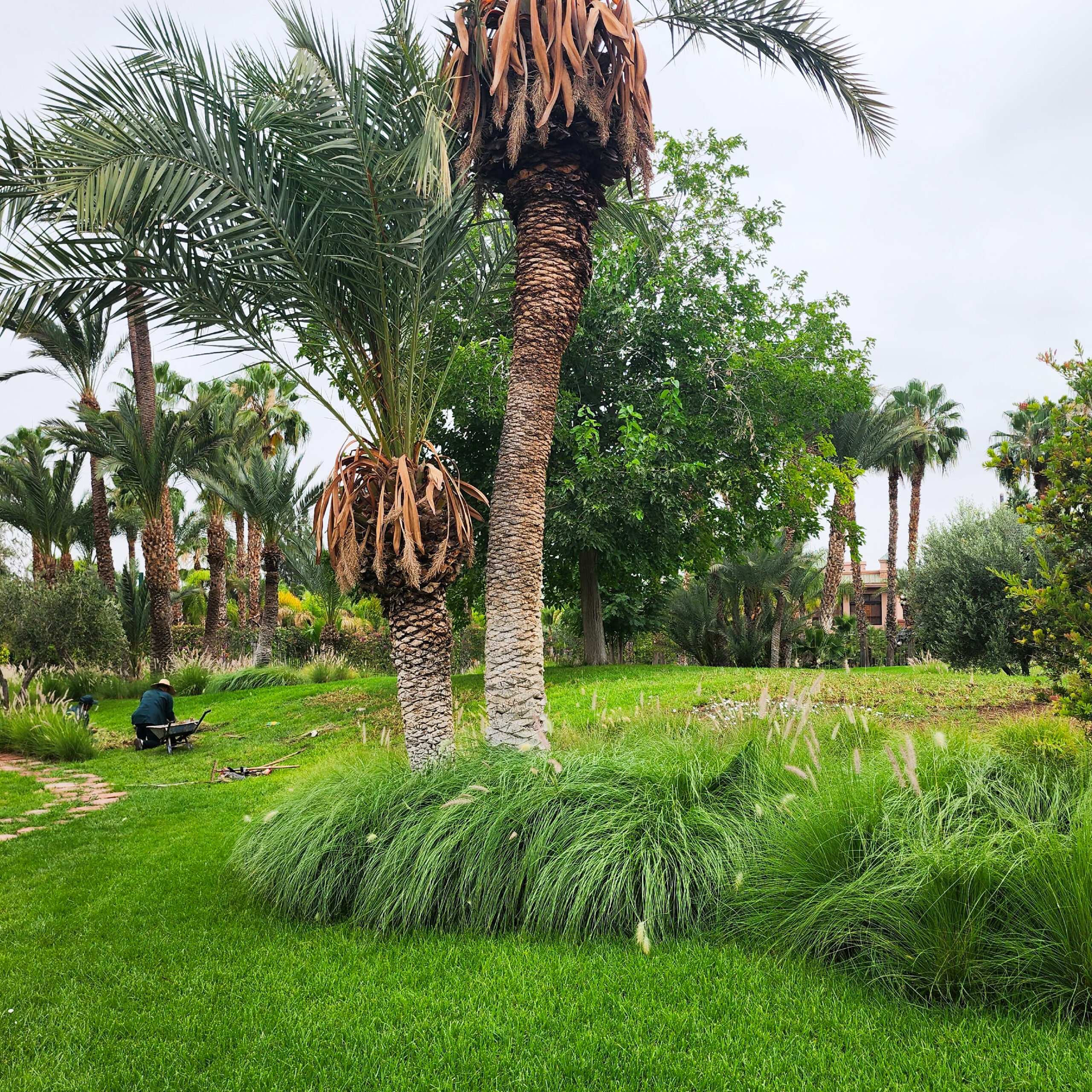 Untitled-1-09.jpg (1)