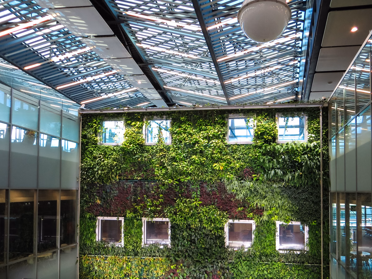Vertical Gardens and Green Roofs
